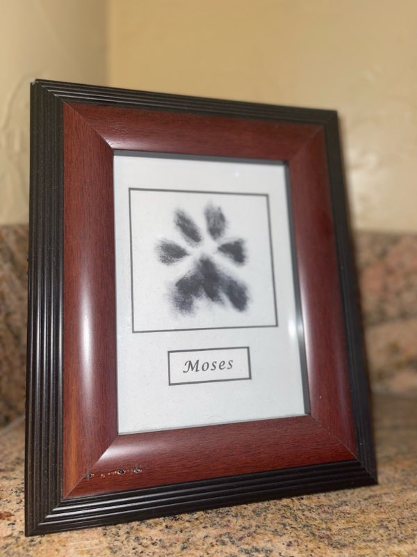 Framed Ink Paw Print in Turlock, CA Family Pet Mortuary